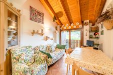 Appartamento a Livinallongo del Col di Lana - DD ARABBA