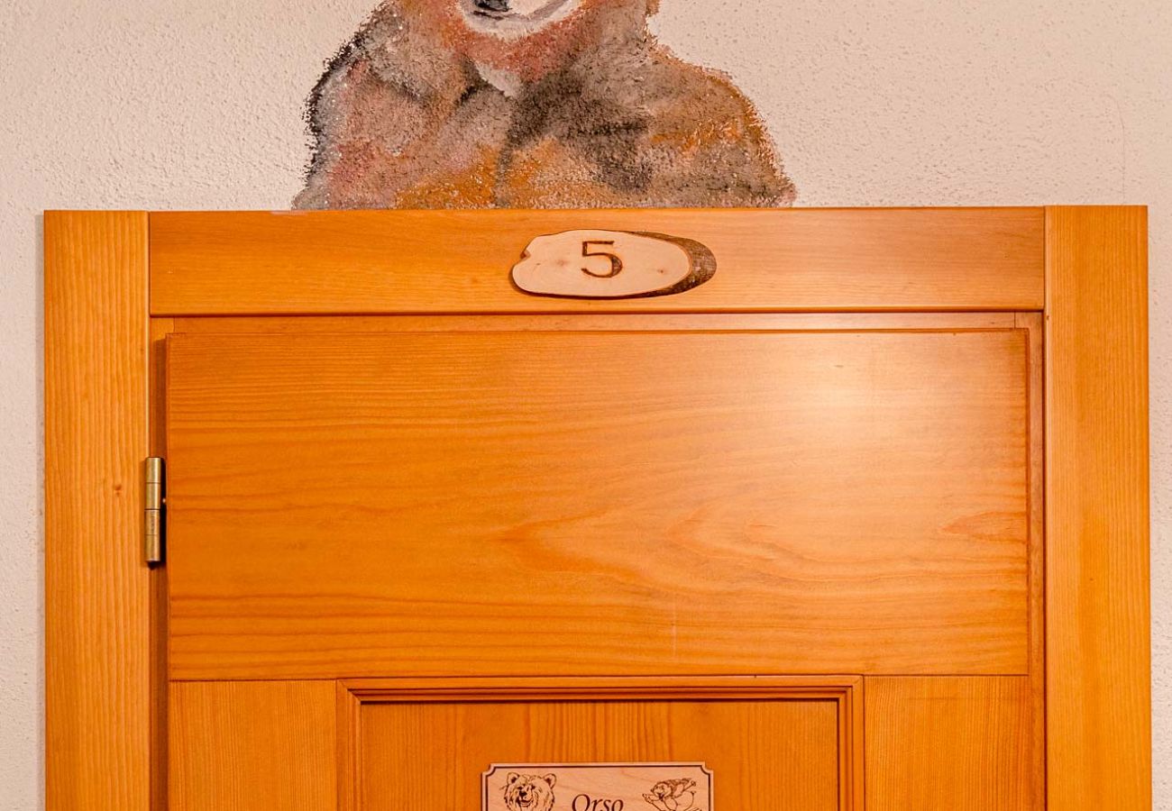 Ciesa Padon - Orso