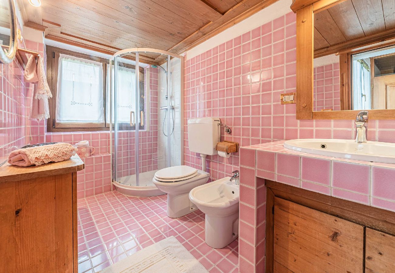Ferienwohnung in Canale d´Agordo - Da La Auri Ferienwohnung in Canale d´Agordo - Da La Auri