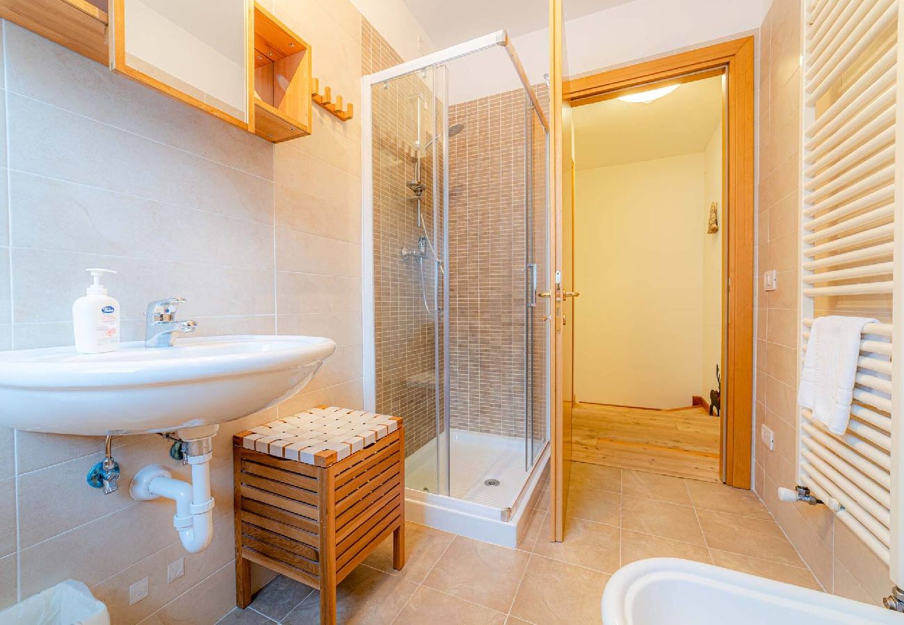 Ferienwohnung in Livinallongo del Col di Lana - Appartamento Lucia