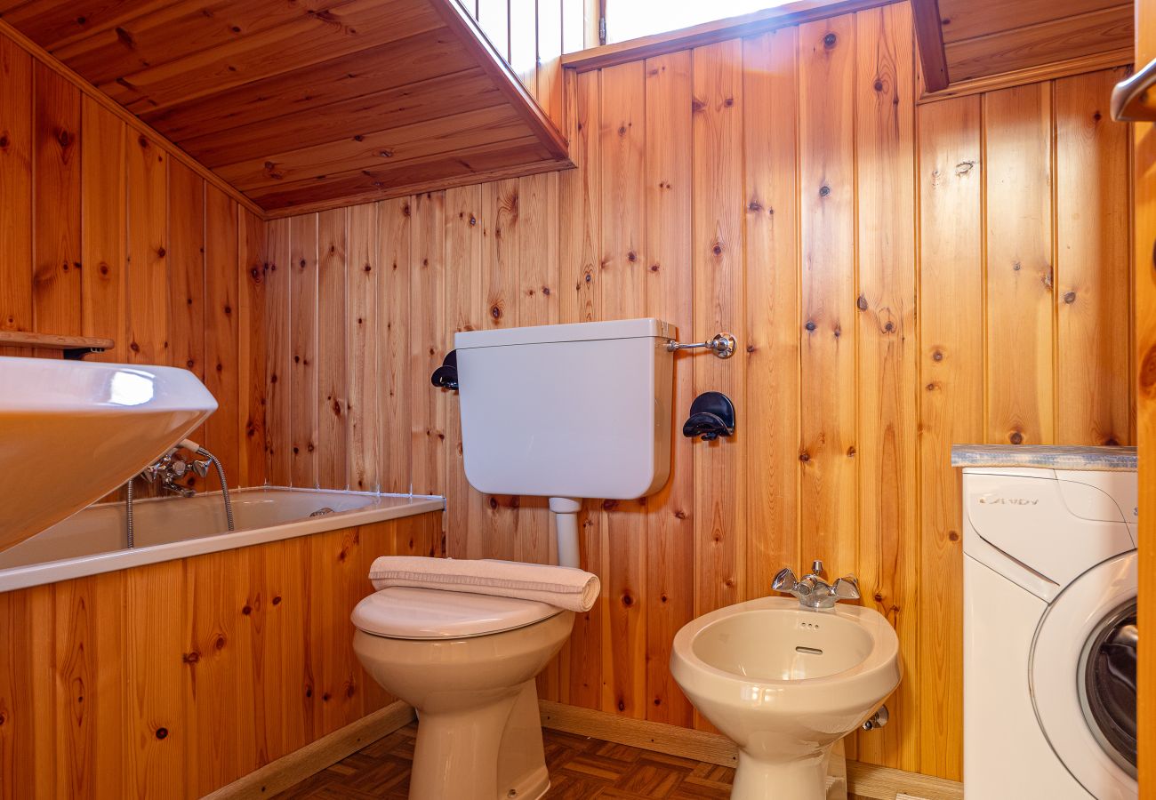 Cèsa Silvano - Attic