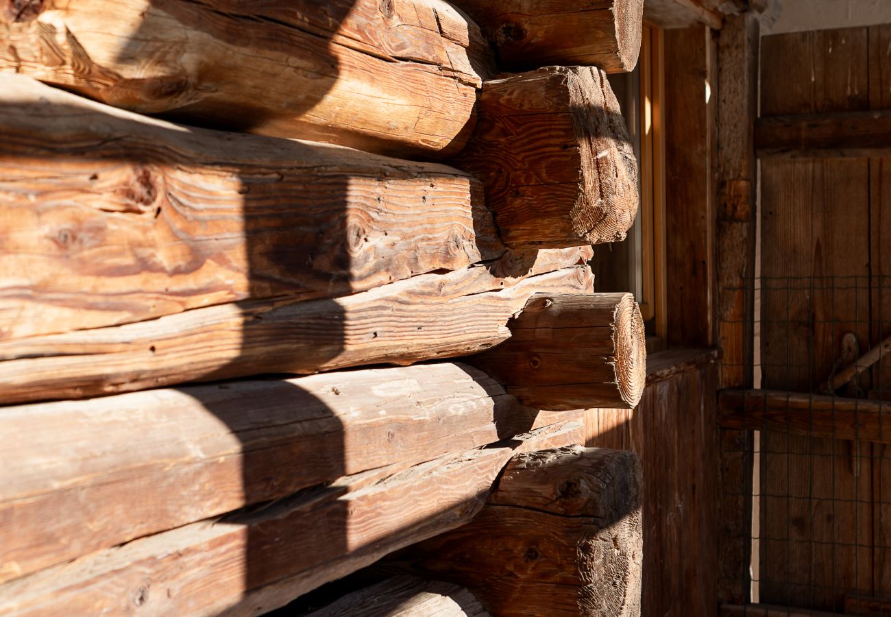 Alpine Mood - Adorch Apartment