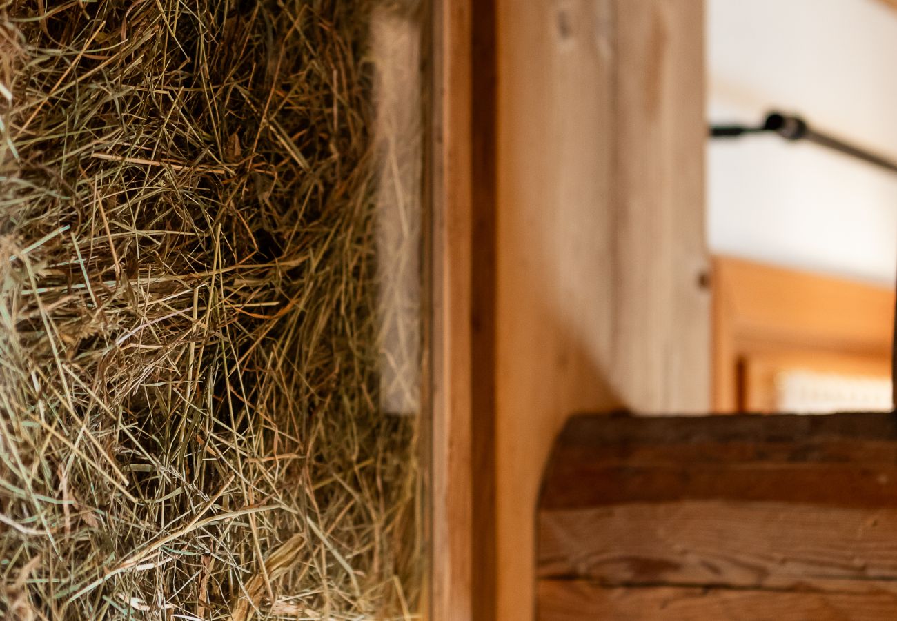 Alpine Mood - Adorch Apartment