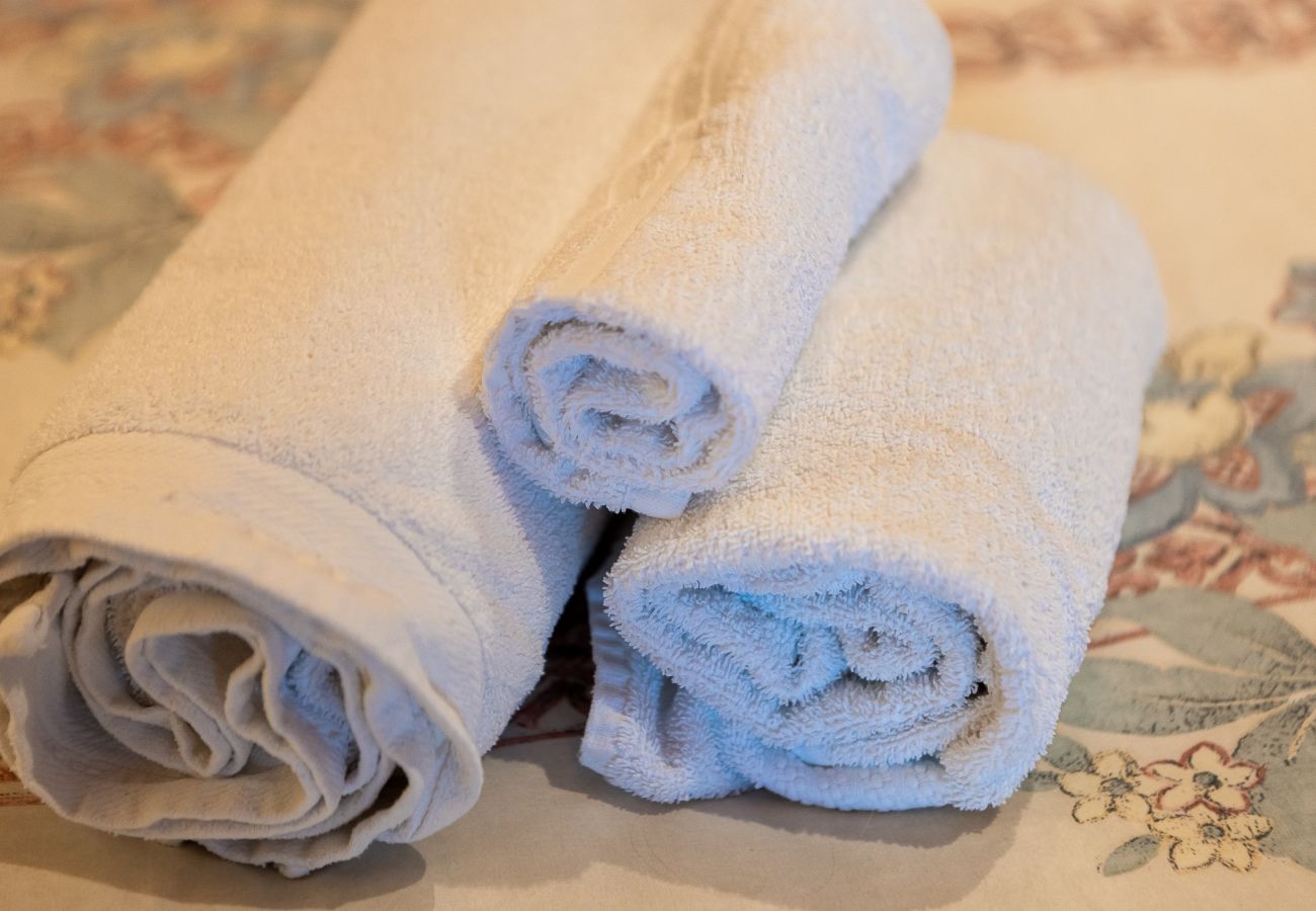 Alpine Mood - Fumer Apartment