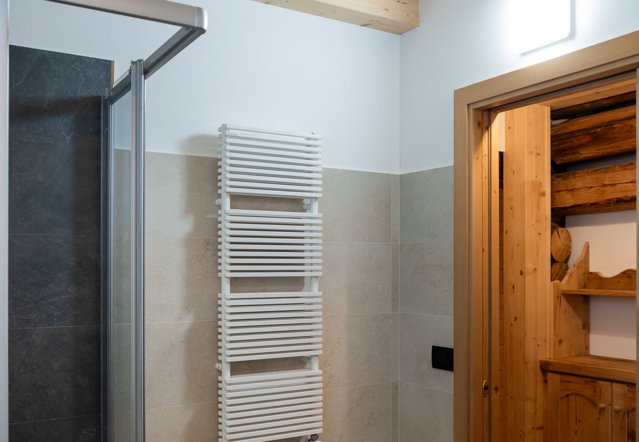 Vakantieboerderijen in Falcade - Alpine Mood Apartments - Adòrch
