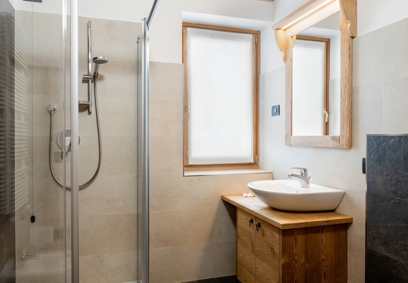 Vakantieboerderijen in Falcade - Alpine Mood Apartments - Adòrch