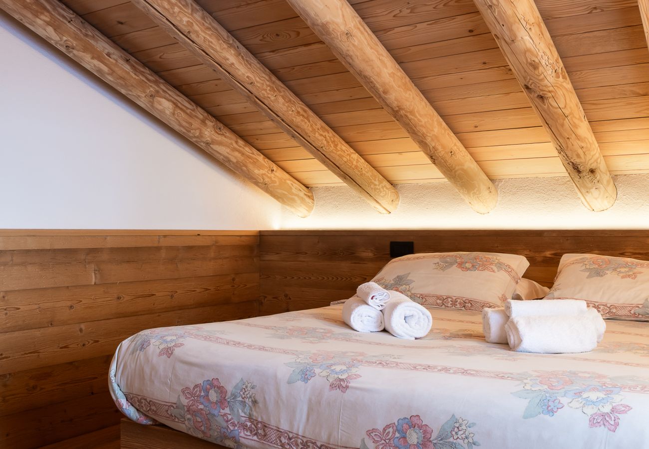 Vakantieboerderijen in Falcade - Alpine Mood Apartments - Adòrch
