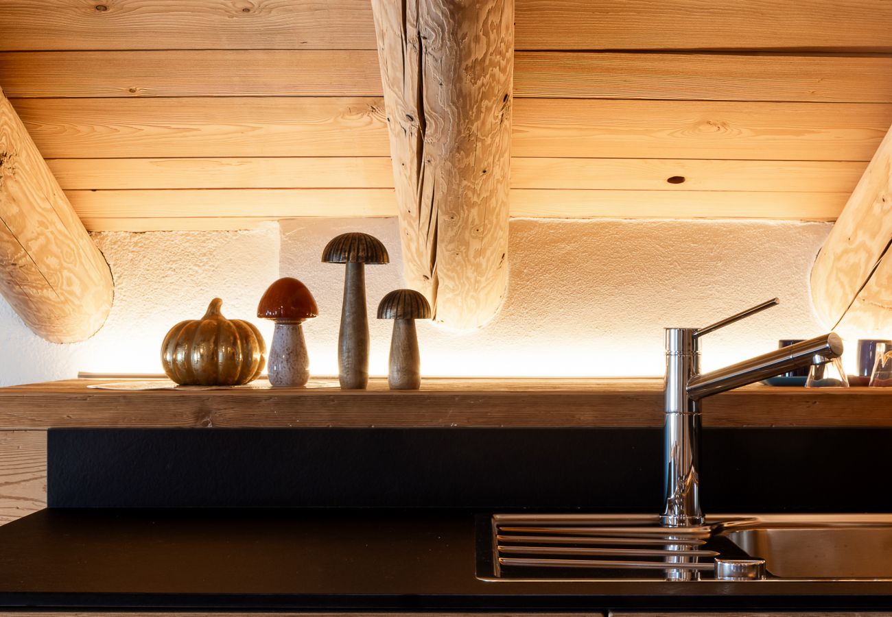 Vakantieboerderijen in Falcade - Alpine Mood Apartments - Adòrch