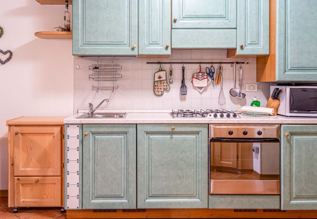 Apartment in Livinallongo del Col di Lana - DD ARABBA