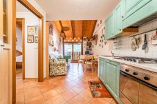 Apartment in Livinallongo del Col di Lana - DD ARABBA