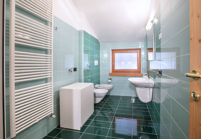 Apartment in Alleghe - Dolomites Seasons - Winter Apartment in Alleghe - Dolomites Seasons - Winter