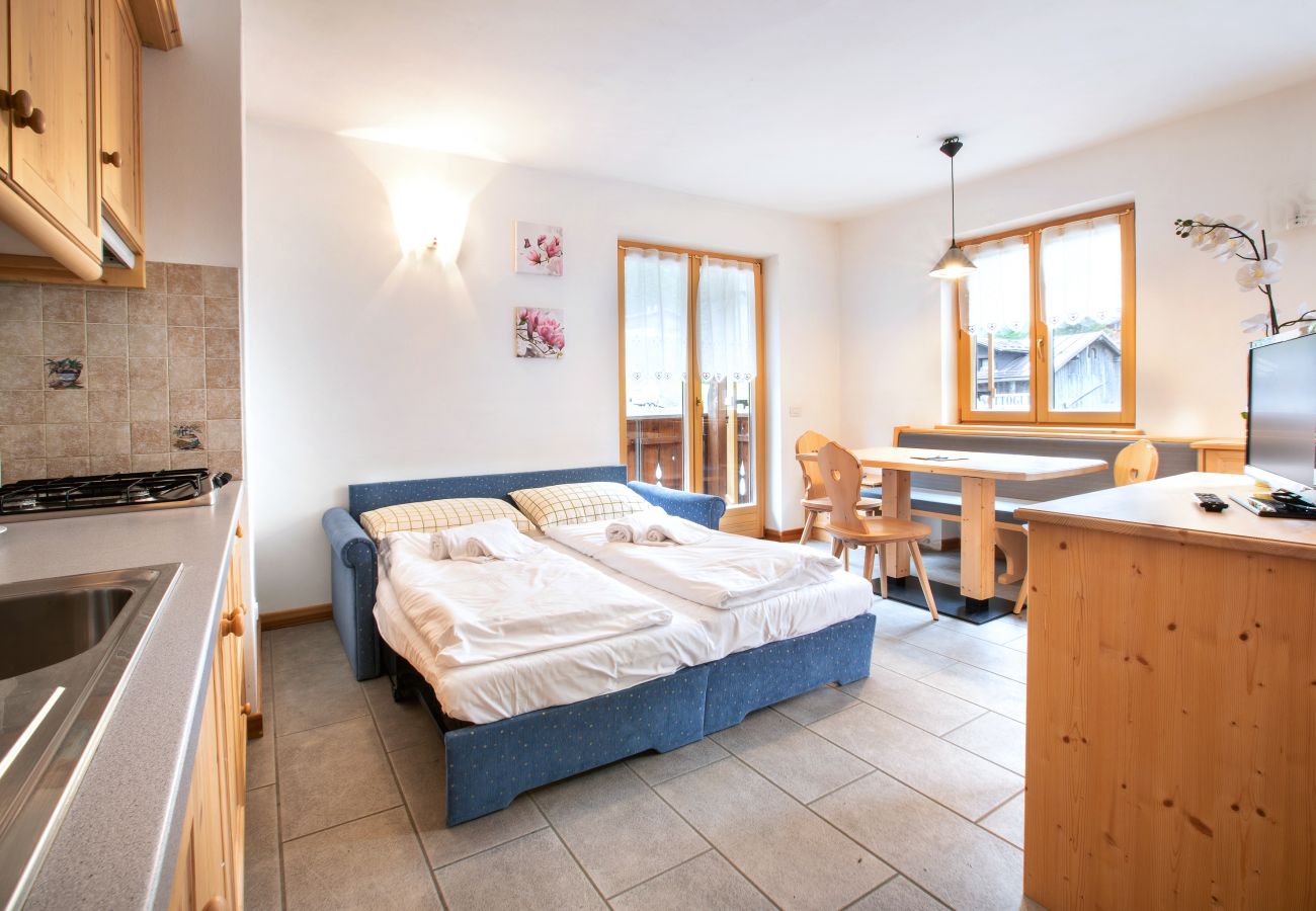 Apartment in Rocca Pietore - Ciesa al Drago 1