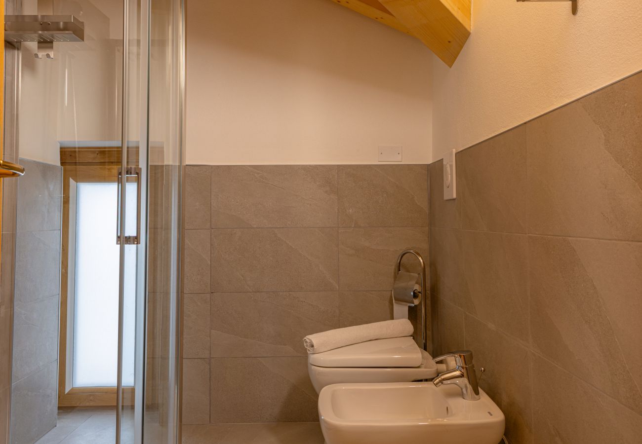 Apartment in Rocca Pietore - Dolomites Elements - Air