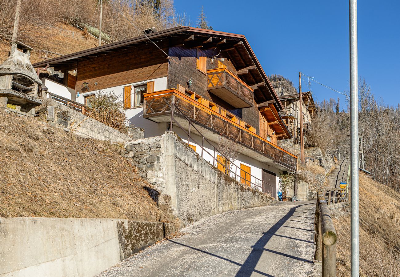 Cèsa Silvano - Attic