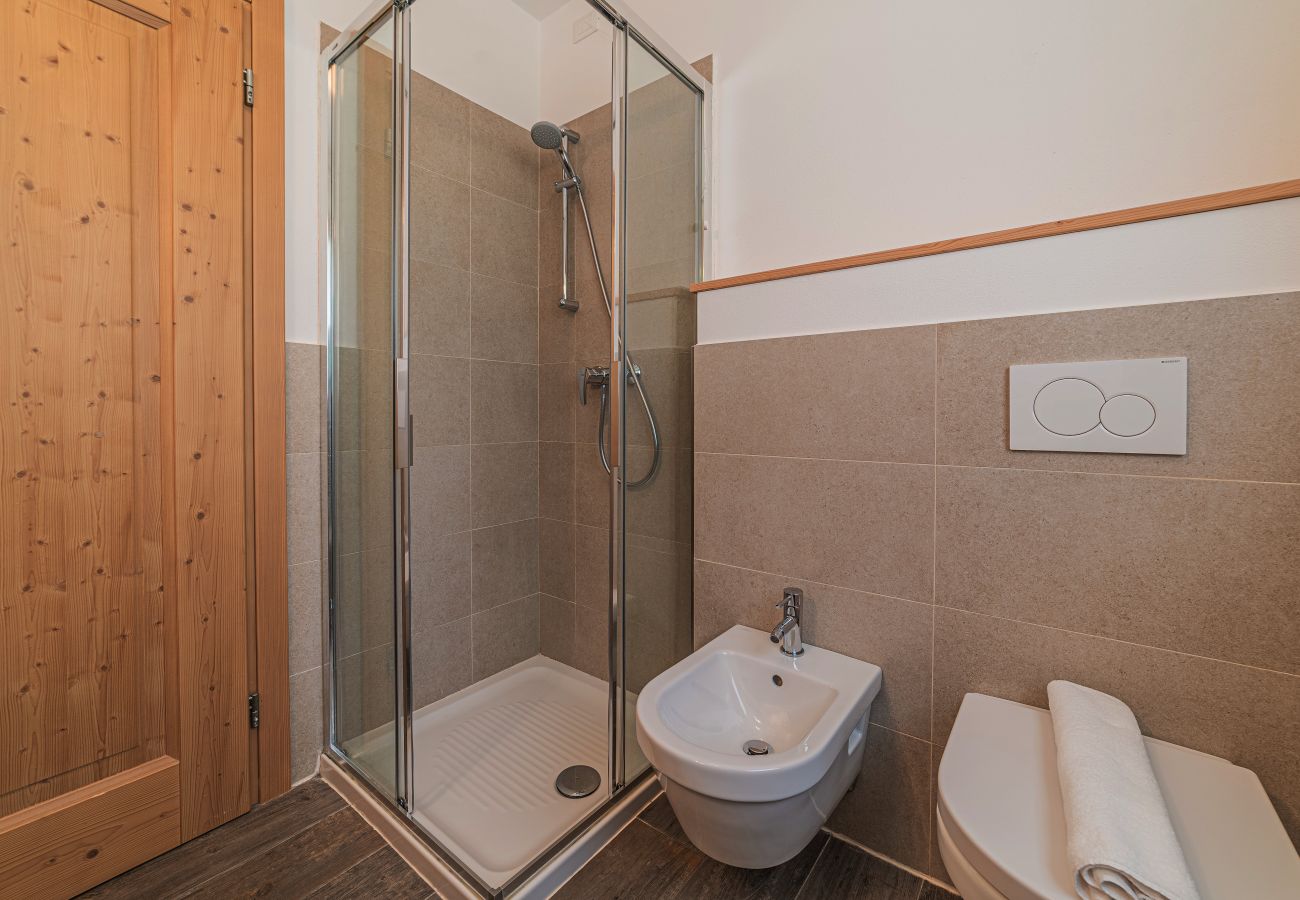 Apartament w Falcade - Dolomites Essence - Maple Falcade Molino