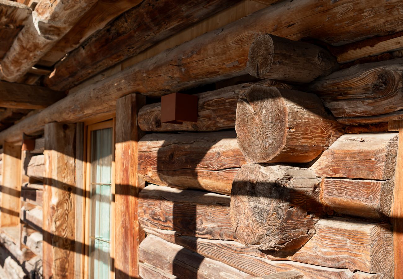 Agroturystyczne w Falcade - Alpine Mood Apartments - Adòrch