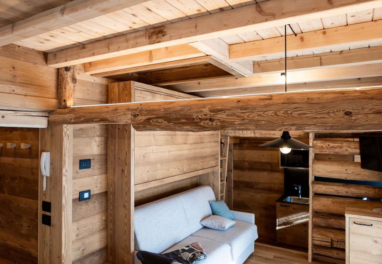 Agroturystyczne w Falcade - Alpine Mood Apartments - Arkèr