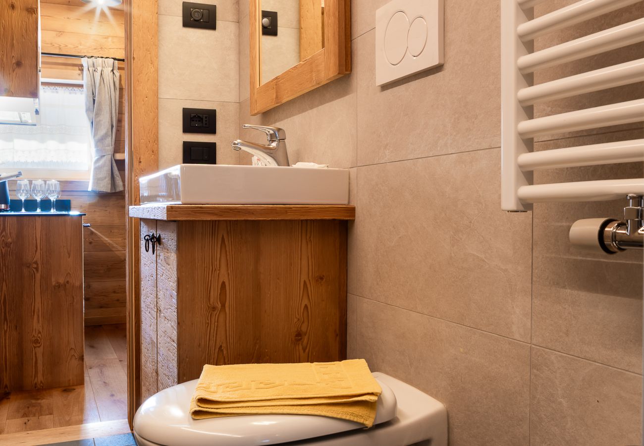 Agroturystyczne w Falcade - Alpine Mood Apartments - Arkèr